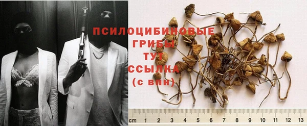 jwh Алзамай